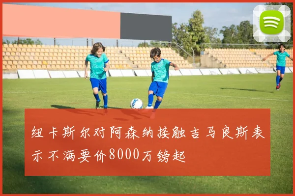 纽卡斯尔对阿森纳接触吉马良斯表示不满要价8000万镑起